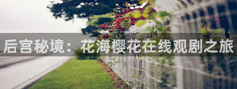 星空动漫网