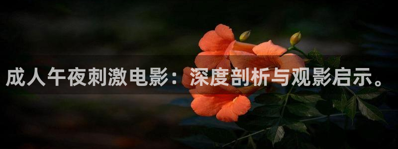 一片星空