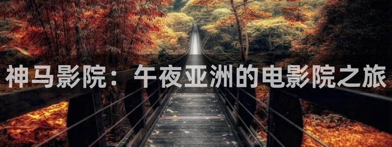星空影视无限传媒