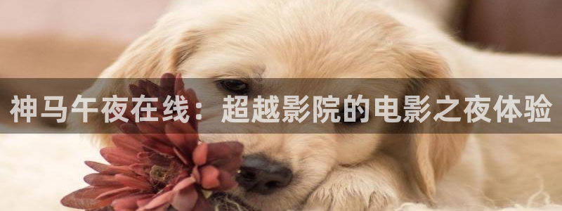 星空电影高清在线观看