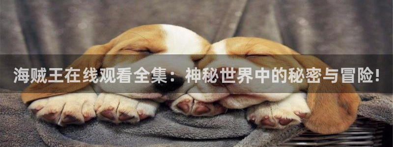 三级樱花视频
