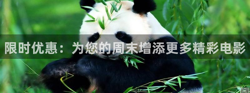 樱花视频电视剧免费观看最新