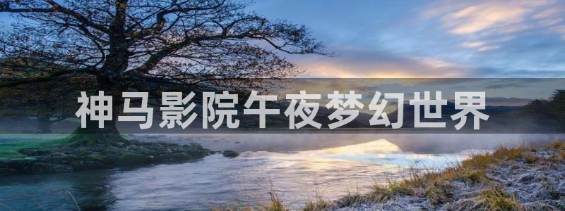 人世间樱花视频