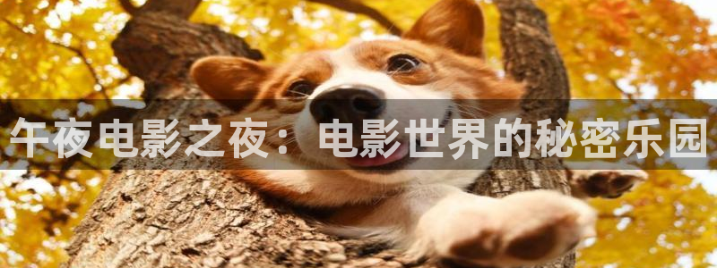 樱花视频看电影