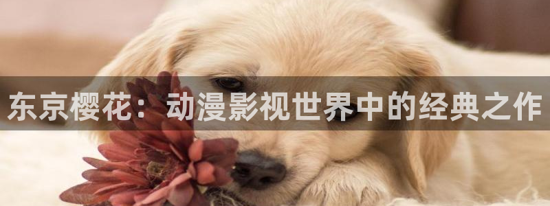妈妈的朋友星空影视