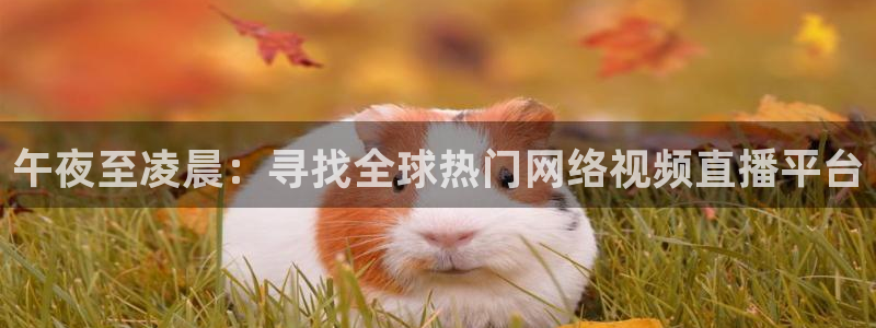 樱花视频电视剧免费观看高清