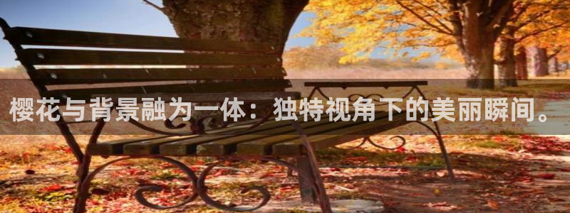 樱花视频电影电视剧免费播放