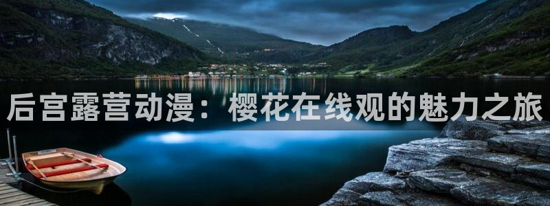 那片星空那片海电视剧