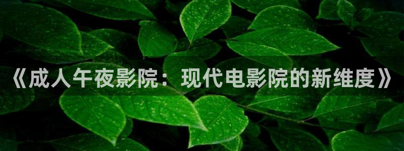 星空播剧