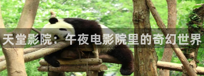 免费下载樱花视频