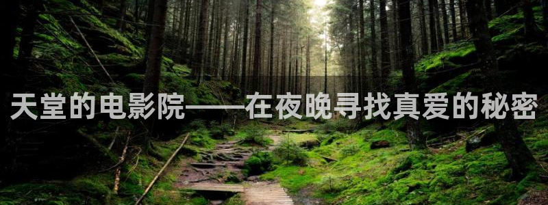 星空动漫网站在线观看