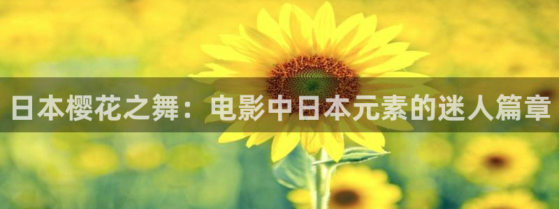 关于星空的画